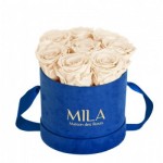  Mila-Roses-01006 Mila Velvet Small Royal Blue Velvet Small - Champagne