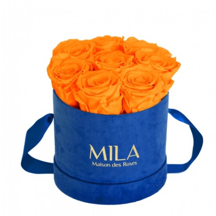 Mila Velvet Small Royal Blue Velvet Small - Orange Bloom