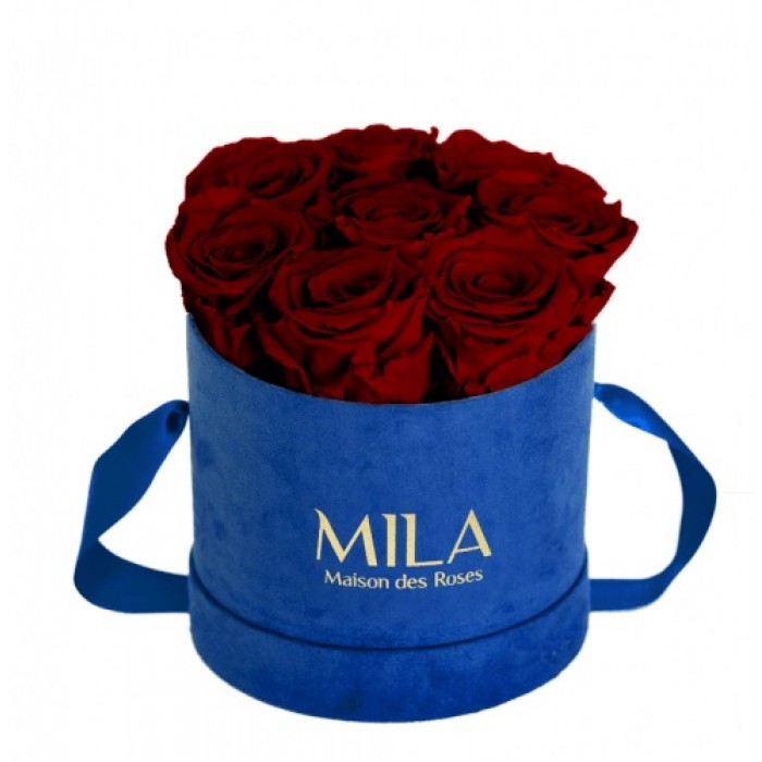 Mila Velvet Small Royal Blue Velvet Small - Rubis Rouge