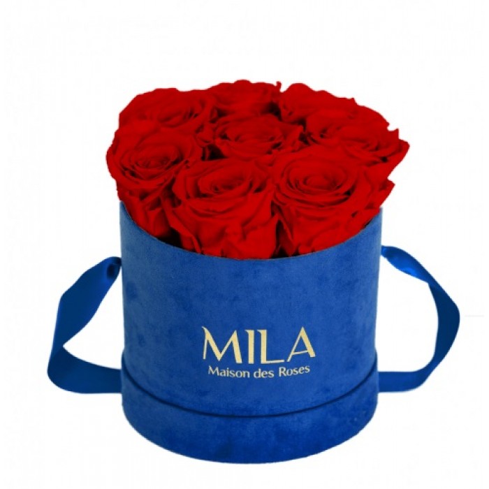 Mila Velvet Small Royal Blue Velvet Small - Rouge Amour