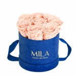  Mila-Roses-01010 Mila Velvet Small Royal Blue Velvet Small - Pure Peach