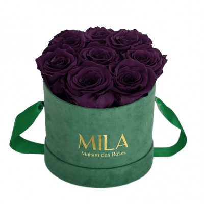 Produit Mila-Roses-01019 Mila Velvet Small Emeraude Velvet Small - Velvet purple