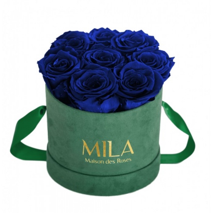 Mila Velvet Small Emeraude Velvet Small - Royal blue