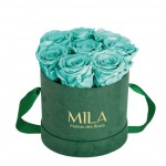  Mila-Roses-01024 Mila Velvet Small Emeraude Velvet Small - Aquamarine