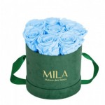  Mila-Roses-01025 Mila Velvet Small Emeraude Velvet Small - Baby blue