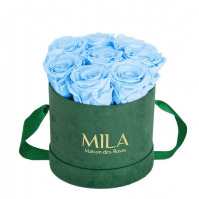 Produit Mila-Roses-01025 Mila Velvet Small Emeraude Velvet Small - Baby blue