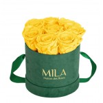  Mila-Roses-01026 Mila Velvet Small Emeraude Velvet Small - Yellow Sunshine