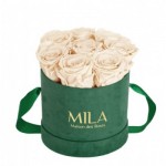  Mila-Roses-01030 Mila Velvet Small Emeraude Velvet Small - Champagne