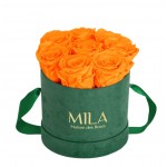  Mila-Roses-01031 Mila Velvet Small Emeraude Velvet Small - Orange Bloom