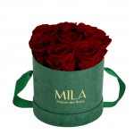  Mila-Roses-01032 Mila Velvet Small Emeraude Velvet Small - Rubis Rouge