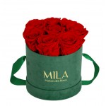  Mila-Roses-01033 Mila Velvet Small Emeraude Velvet Small - Rouge Amour