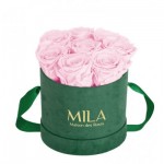  Mila-Roses-01035 Mila Velvet Small Emeraude Velvet Small - Pink Blush