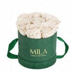  Mila-Roses-01038 Mila Velvet Small Emeraude Velvet Small - White Cream