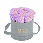  Mila-Roses-01039 Mila Velvet Small Light Grey Velvet Small - Vintage rose