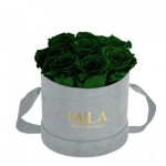  Mila-Roses-01041 Mila Velvet Small Light Grey Velvet Small - Emeraude