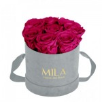  Mila-Roses-01042 Mila Velvet Small Light Grey Velvet Small - Fuchsia