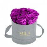  Mila-Roses-01044 Mila Velvet Small Light Grey Velvet Small - Violin