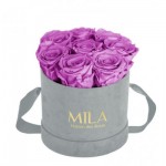  Mila-Roses-01045 Mila Velvet Small Light Grey Velvet Small - Mauve