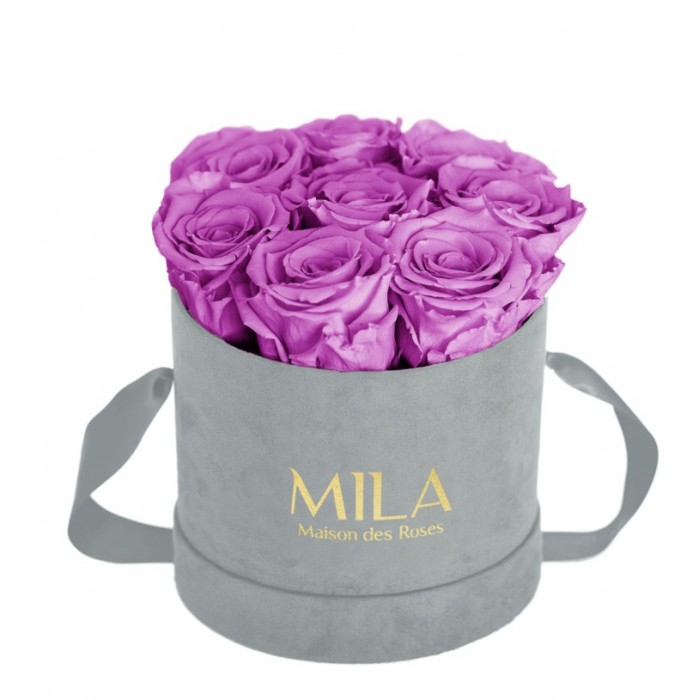 Mila Velvet Small Light Grey Velvet Small - Mauve