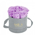  Mila-Roses-01046 Mila Velvet Small Light Grey Velvet Small - Lavender