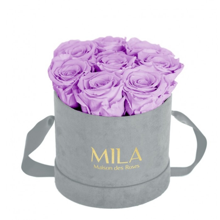 Mila Velvet Small Light Grey Velvet Small - Lavender