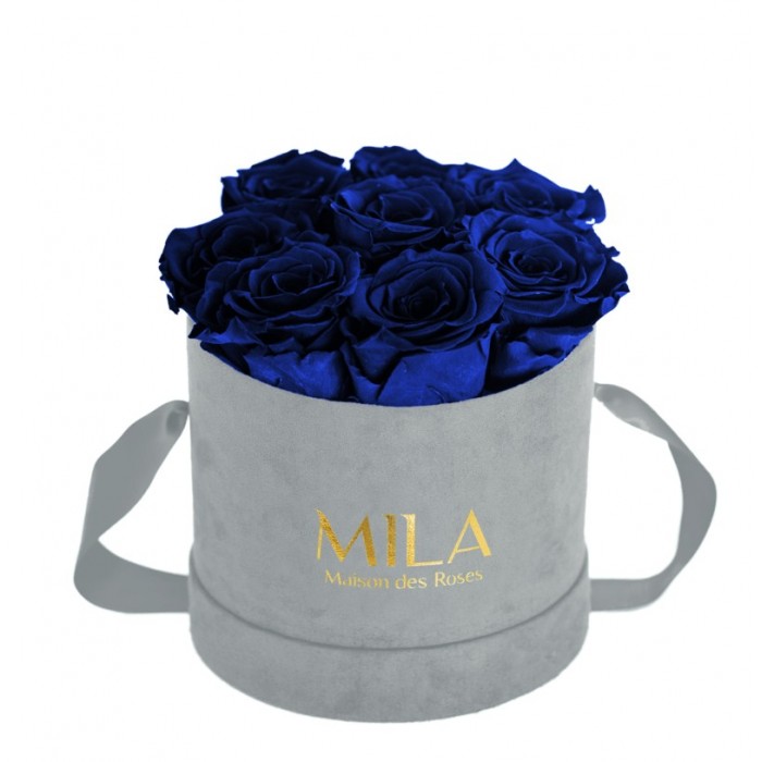 Mila Velvet Small Light Grey Velvet Small - Royal blue