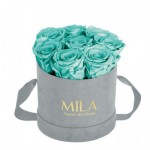  Mila-Roses-01048 Mila Velvet Small Light Grey Velvet Small - Aquamarine