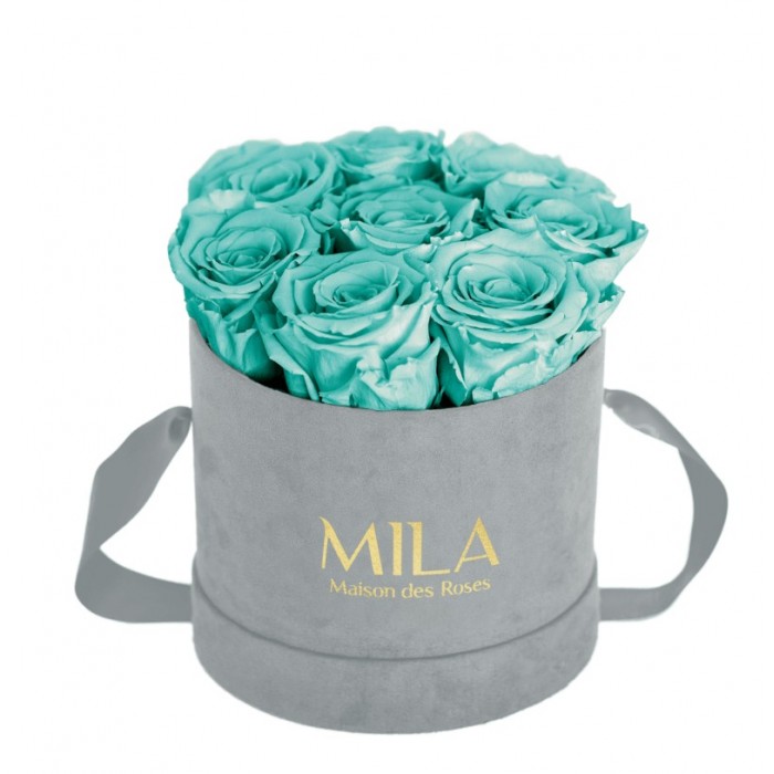 Mila Velvet Small Light Grey Velvet Small - Aquamarine