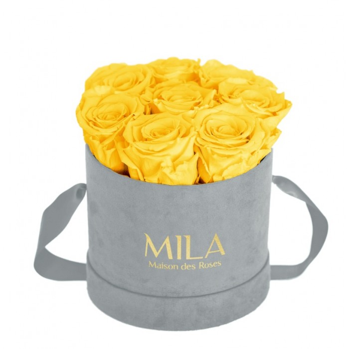 Mila Velvet Small Light Grey Velvet Small - Yellow Sunshine