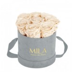  Mila-Roses-01054 Mila Velvet Small Light Grey Velvet Small - Champagne