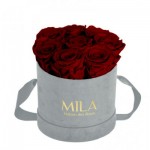  Mila-Roses-01056 Mila Velvet Small Light Grey Velvet Small - Rubis Rouge