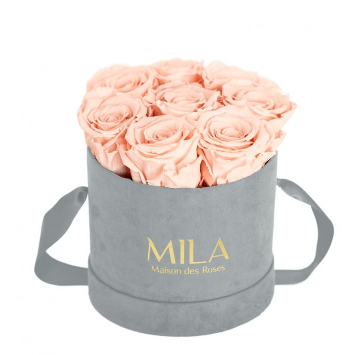 Mila Velvet Small Light Grey Velvet Small - Pure Peach