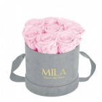  Mila-Roses-01059 Mila Velvet Small Light Grey Velvet Small - Pink Blush