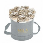  Mila-Roses-01060 Mila Velvet Small Light Grey Velvet Small - Haute Couture