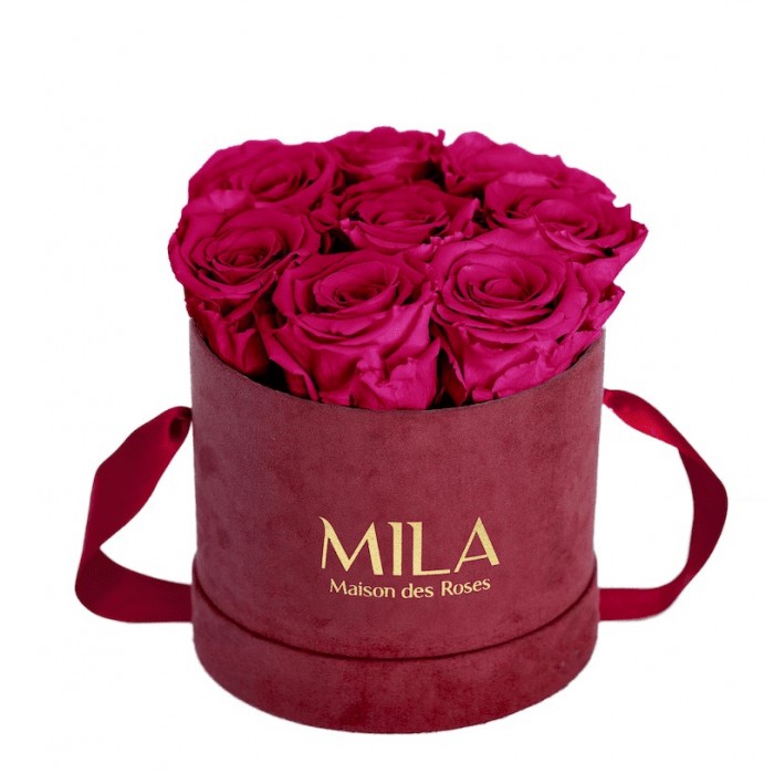 Mila Velvet Small Burgundy Velvet Small - Fuchsia