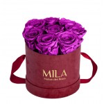  Mila-Roses-01068 Mila Velvet Small Burgundy Velvet Small - Violin