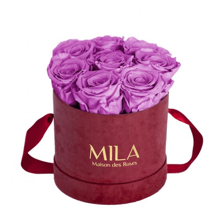 Mila Velvet Small Burgundy Velvet Small - Mauve