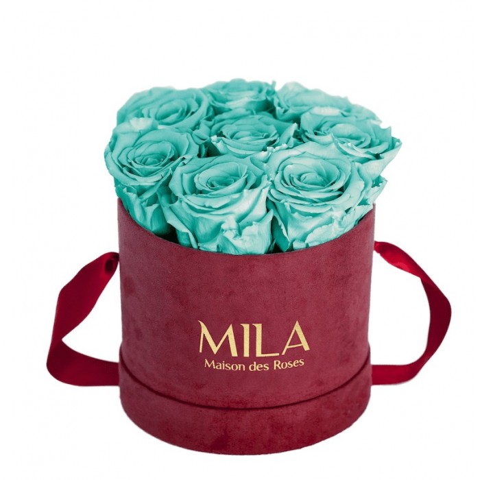 Mila Velvet Small Burgundy Velvet Small - Aquamarine