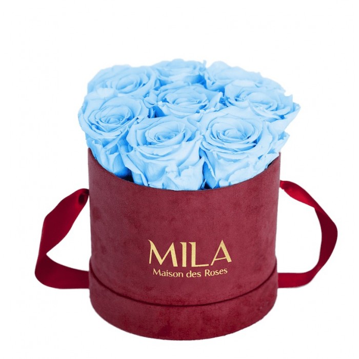 Mila Velvet Small Burgundy Velvet Small - Baby blue