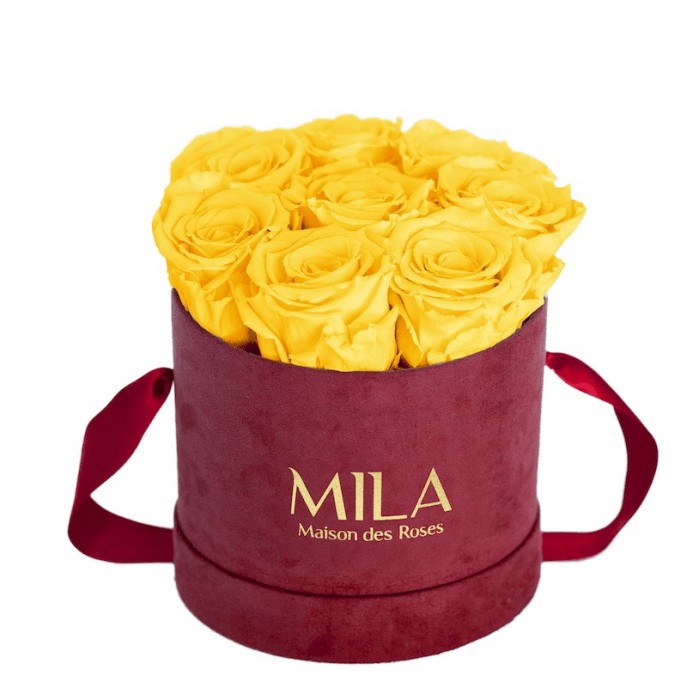 Mila Velvet Small Burgundy Velvet Small - Yellow Sunshine