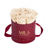  Mila-Roses-01078 Mila Velvet Small Burgundy Velvet Small - Champagne