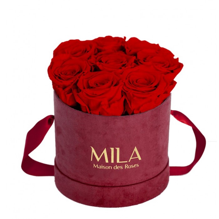 Mila Velvet Small Burgundy Velvet Small - Rouge Amour