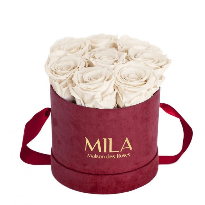 Mila Velvet Small Burgundy Velvet Small - White Cream