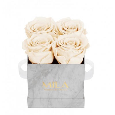 Produit Mila-Roses-01126 Mila Mini Marble Marble - Champagne