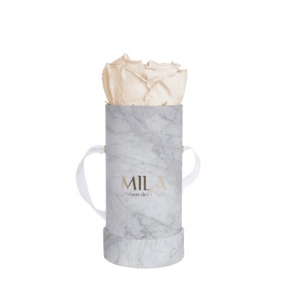 Produit Mila-Roses-01150 Mila Baby Marble Marble - Champagne