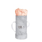  Mila-Roses-01154 Mila Baby Marble Marble - Pure Peach