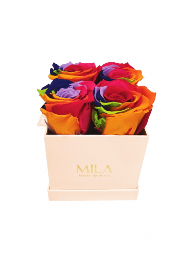 Produit Mila-Roses-01310 Mila Classique Mini Rose Classique - Rainbow