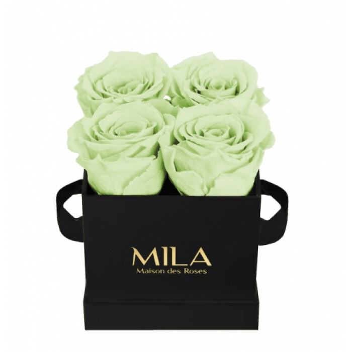 Mila Classique Mini Noir Classique - Mint