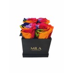  Mila-Roses-01331 Mila Classique Mini Noir Classique - Rainbow