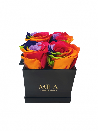 Produit Mila-Roses-01331 Mila Classique Mini Noir Classique - Rainbow